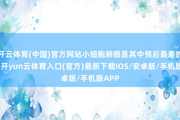 开云体育(中国)官方网站小细胞肺癌是其中预后最差的类型-开yun云体育入口(官方)最新下载IOS/安卓版/手机版APP