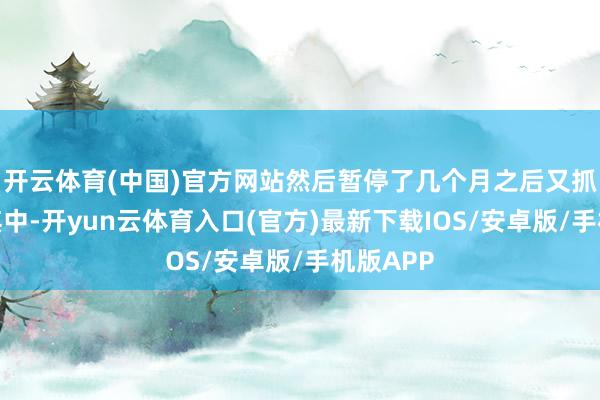开云体育(中国)官方网站然后暂停了几个月之后又抓续在正其中-开yun云体育入口(官方)最新下载IOS/安卓版/手机版APP
