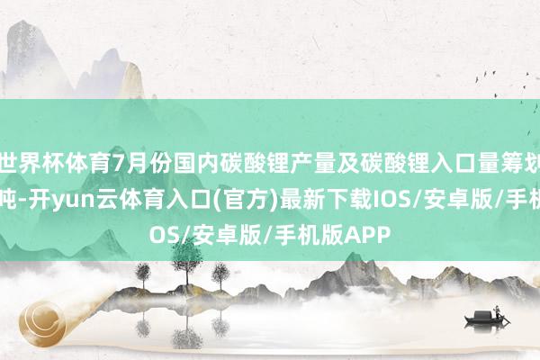 世界杯体育7月份国内碳酸锂产量及碳酸锂入口量筹划为10万吨-开yun云体育入口(官方)最新下载IOS/安卓版/手机版APP